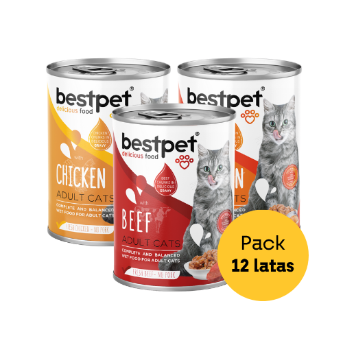 MIX 12 LATAS PREMIUM BESTPET CAT TROZOS DE POLLO-CARNE-SALMON 400 G