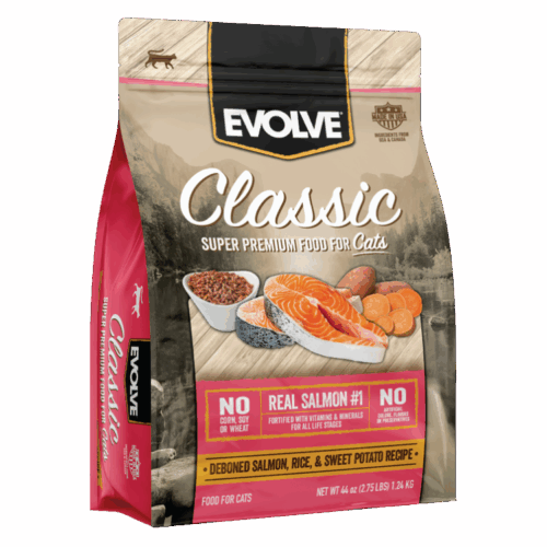 evolve gato salmon