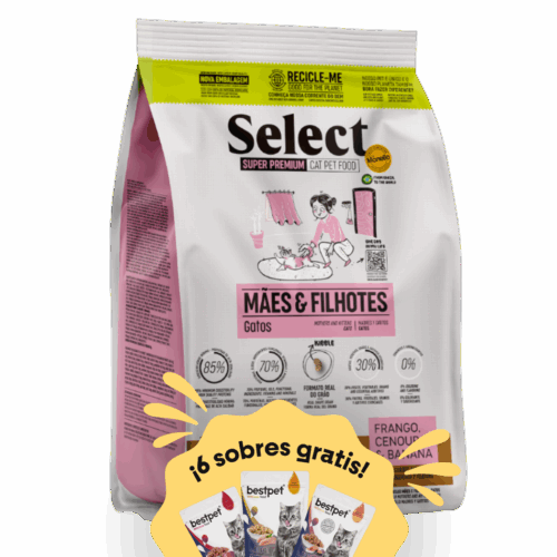 promocion gatas madres