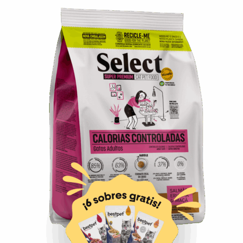 promocion gatos calorias controladas